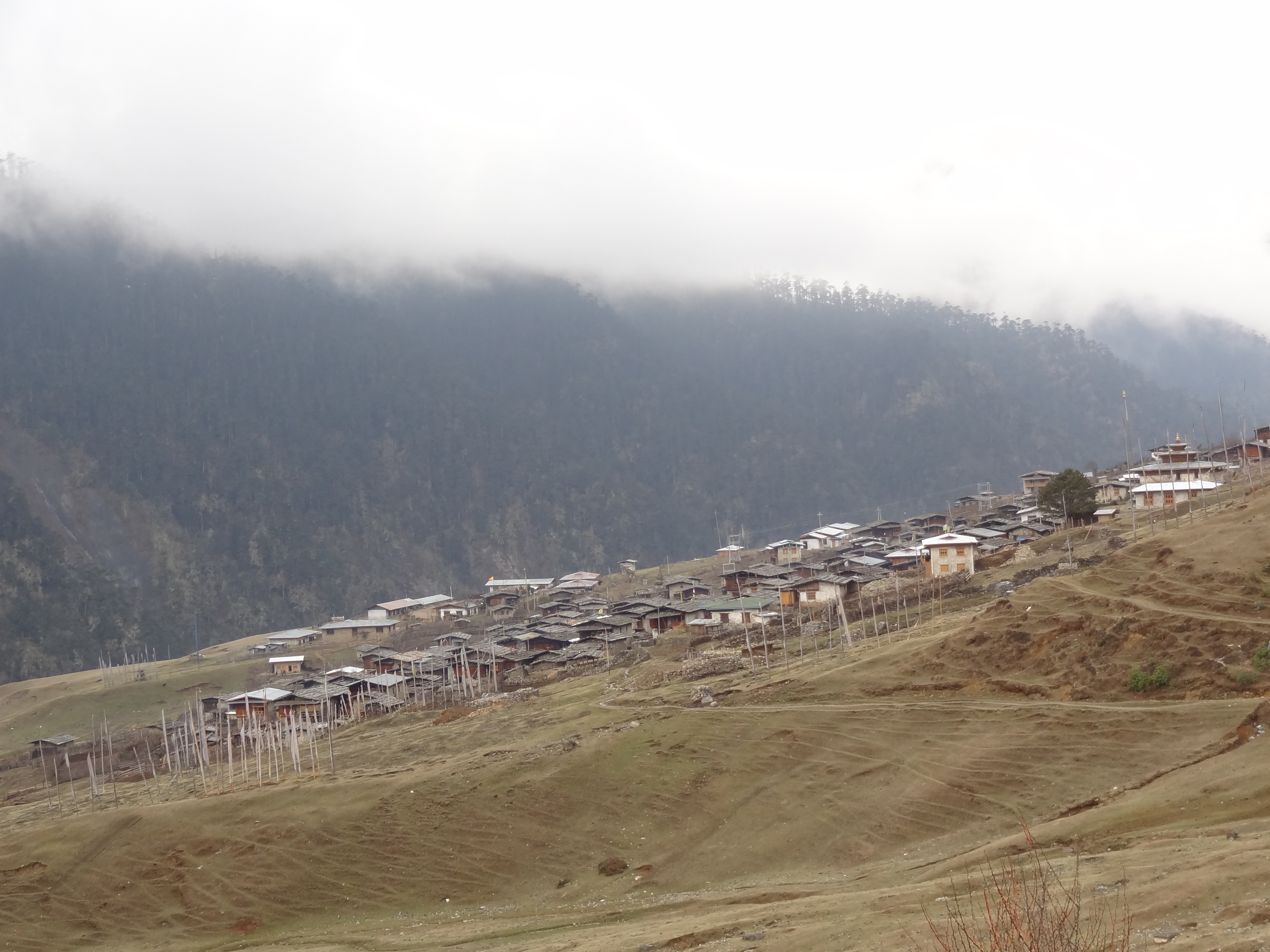 Merak village