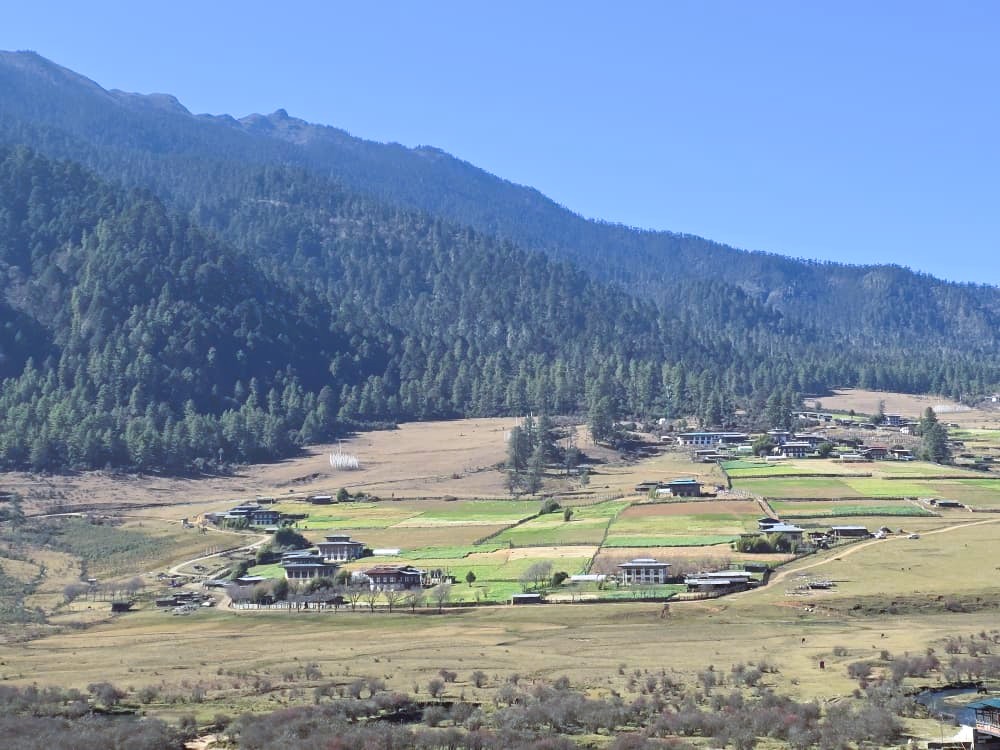 Phobjikha Valley in Wangdiphodrang